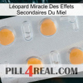 Léopard Miracle Des Effets Secondaires Du Miel 24